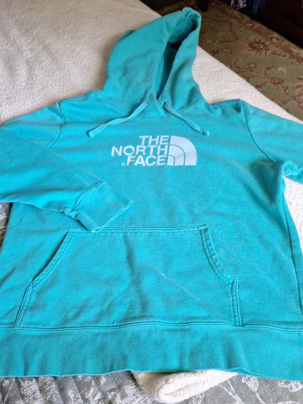 The North Face Womens Turquoise Logo Pullover Hoodie